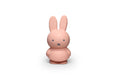 Miffy Piggy Bank Small