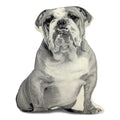 Bulldog Pillow