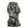 Cavalier King Charles Spaniel Pillow