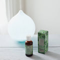 Roland Pine Fragrance Oil